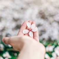 photo-1490006043117-7d3126a1c887